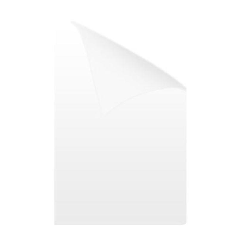 HW EDA52 Displayschutzfolie, 10 St&uuml;ck